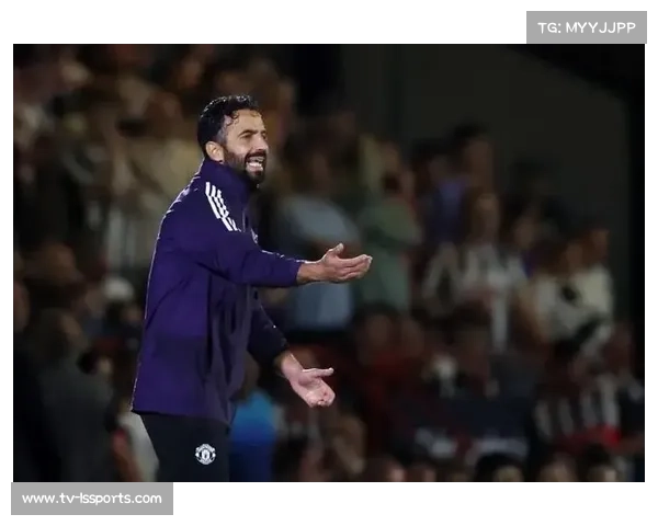 曼晚称曼联无意引进菲林 经纪人炒作制造转会传闻